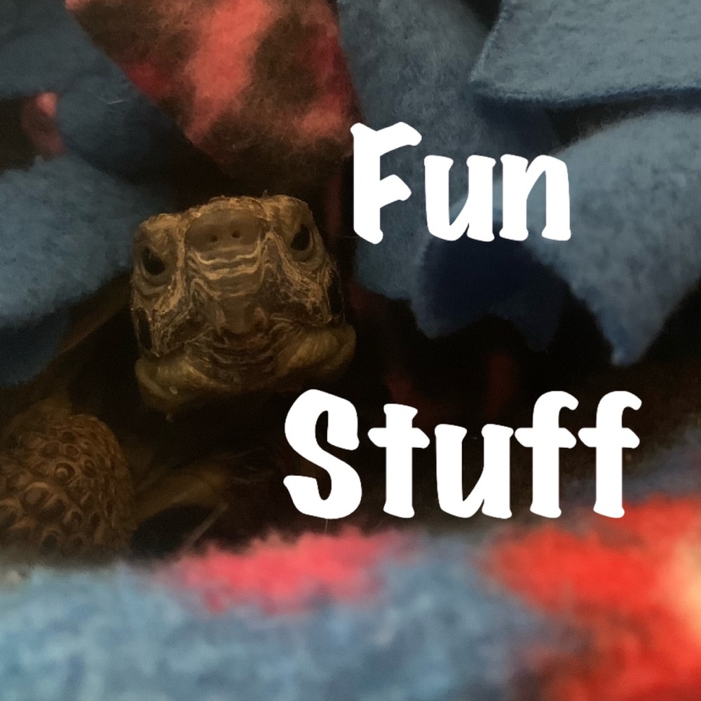 Stuff
